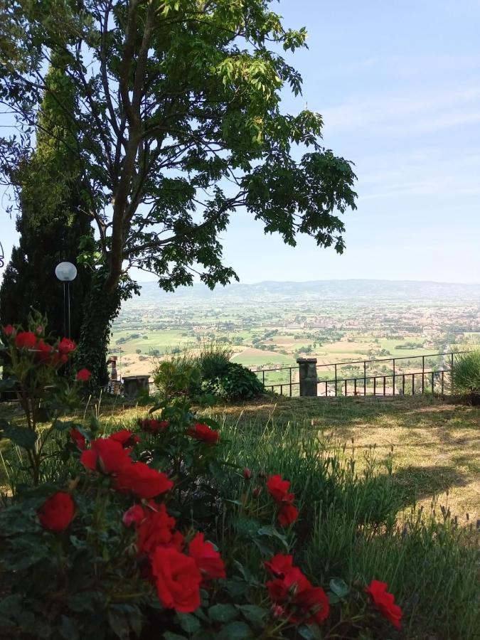 Residenza Messer Pajola Assisi Esterno foto